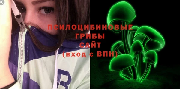 гидра Медвежьегорск
