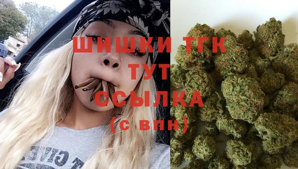 гидра Медвежьегорск