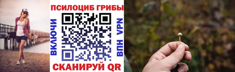 Псилоцибиновые грибы Psilocybine cubensis Нюрба