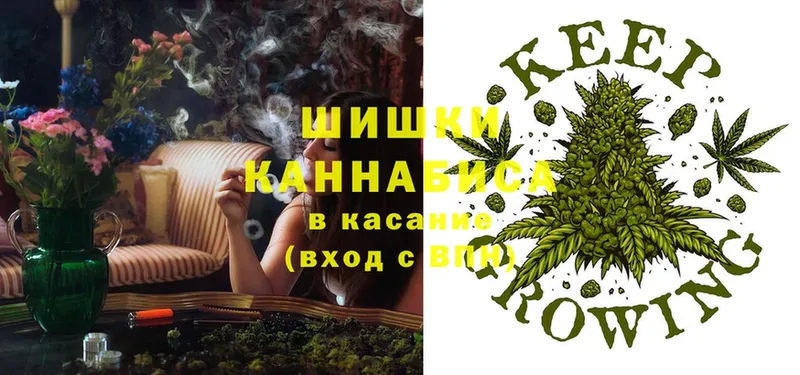 Бошки марихуана LSD WEED  даркнет формула  Нюрба 